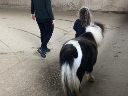 IMG-20210405-WA0003